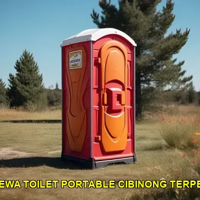 jasa sewa toilet portable cibinong terpercaya